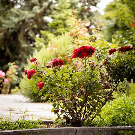 Zeusplace Poolvilla Natura Paralia *